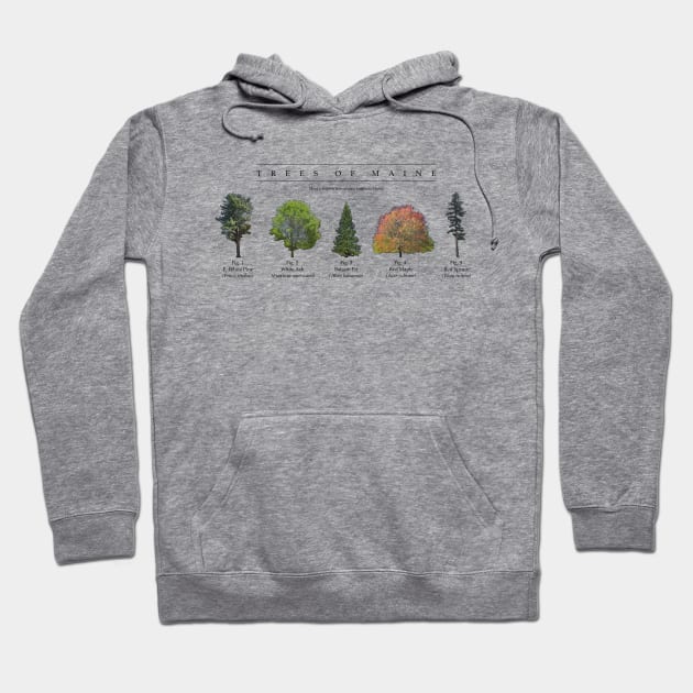 Trees of Maine Hoodie by Atmospheric Comics Company